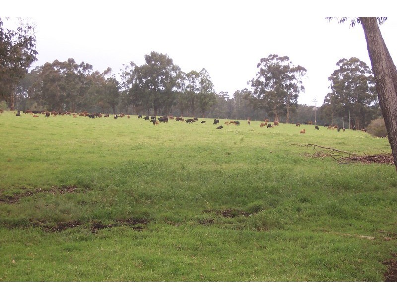 N.L.2188 Seven Day Road, Manjimup WA 6258