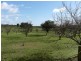12070 Ralston Road, Manjimup WA 6258