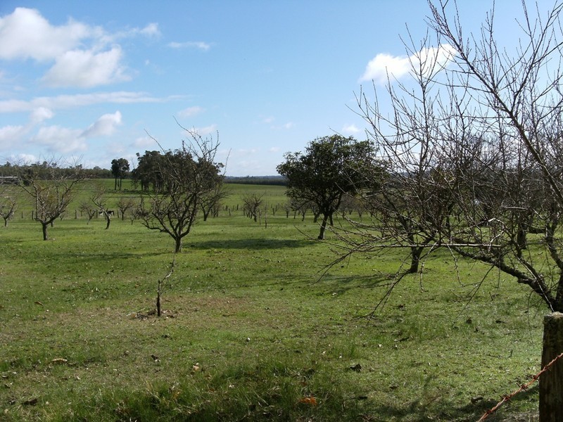 12070 Ralston Road, Manjimup WA 6258