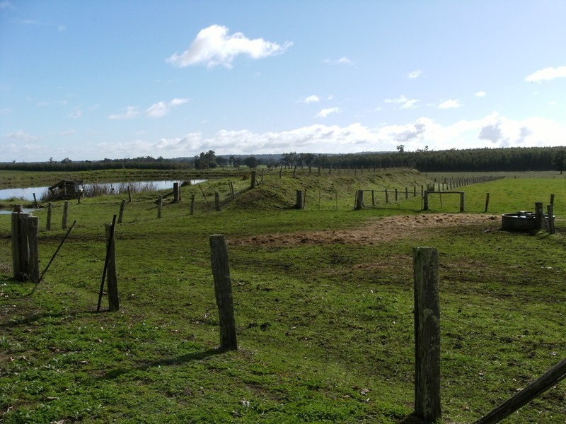 12070 Ralston Road, Manjimup WA 6258