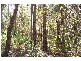 Lot 70 Rainbow Trout Retreat, Quinninup WA 6258