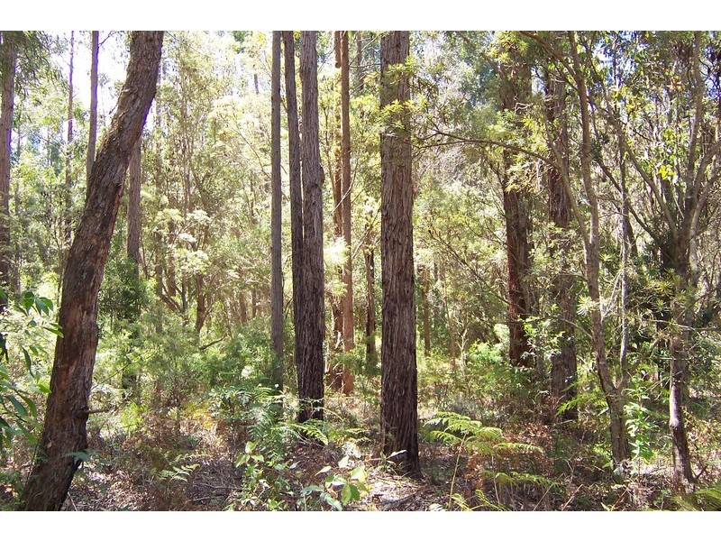 Lot 70 Rainbow Trout Retreat, Quinninup WA 6258