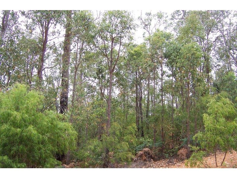 Lot 70 Rainbow Trout Retreat, Quinninup WA 6258