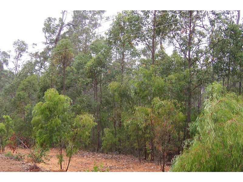 Lot 70 Rainbow Trout Retreat, Quinninup WA 6258