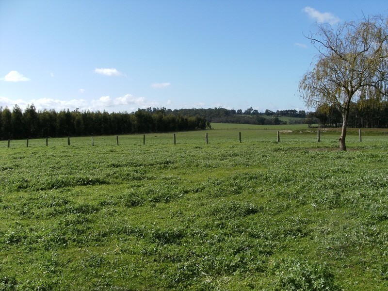 12071 Ralston Road, Manjimup WA 6258