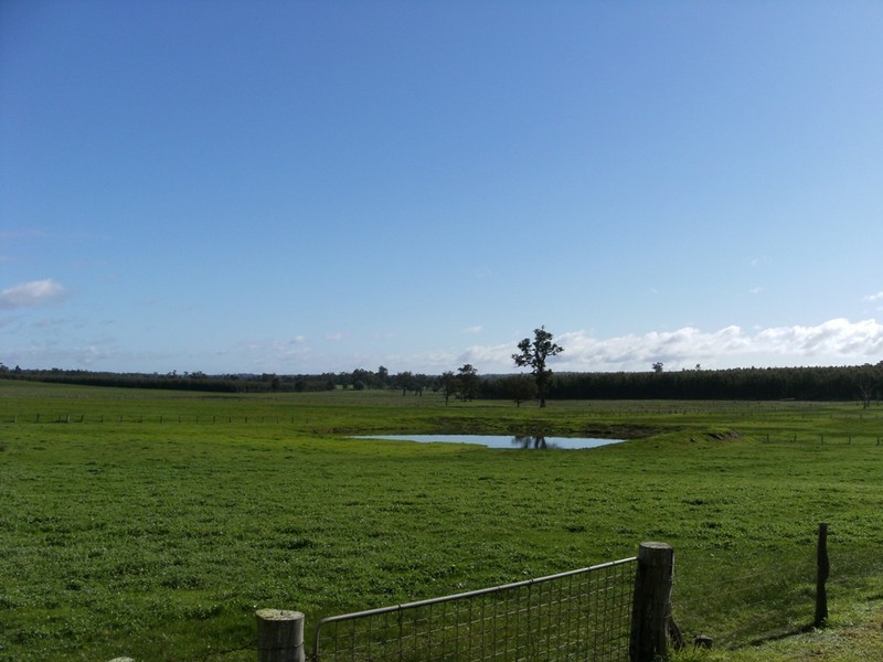 12071 Ralston Road, Manjimup WA 6258