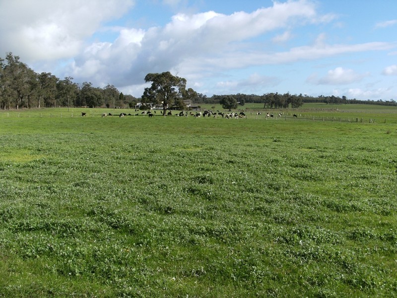 12071 Ralston Road, Manjimup WA 6258
