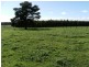 12071 Ralston Road, Manjimup WA 6258