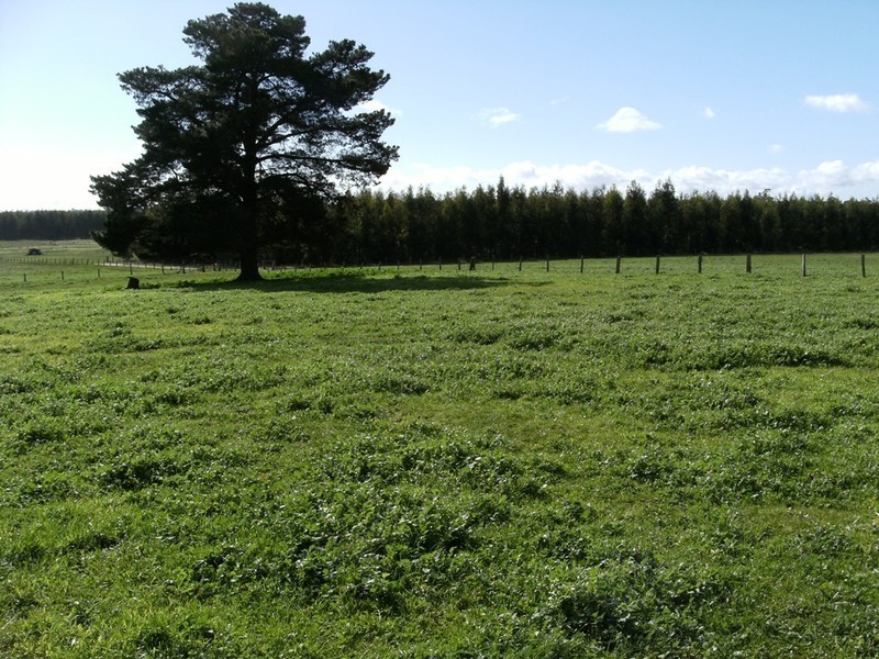 12071 Ralston Road, Manjimup WA 6258