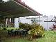 3 Reeve Street, Manjimup WA 6258