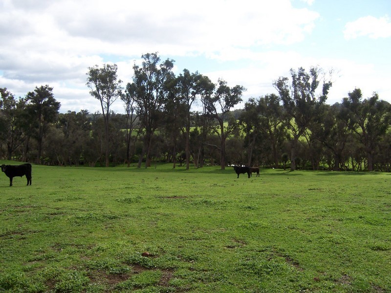 N.L. 13088 Junction Road, Manjimup WA 6258