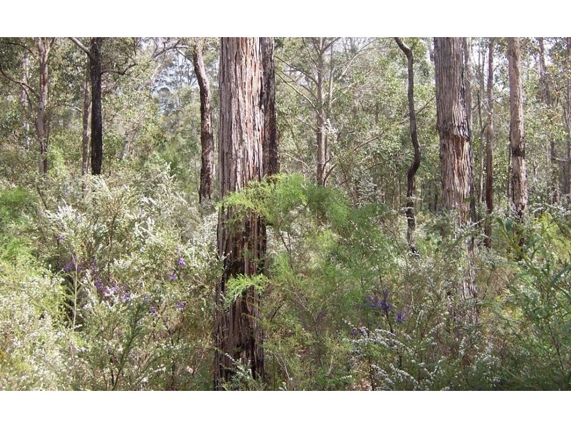 Lot 14 Karri Lane, Quinninup WA 6258