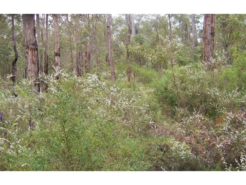Lot 14 Karri Lane, Quinninup WA 6258