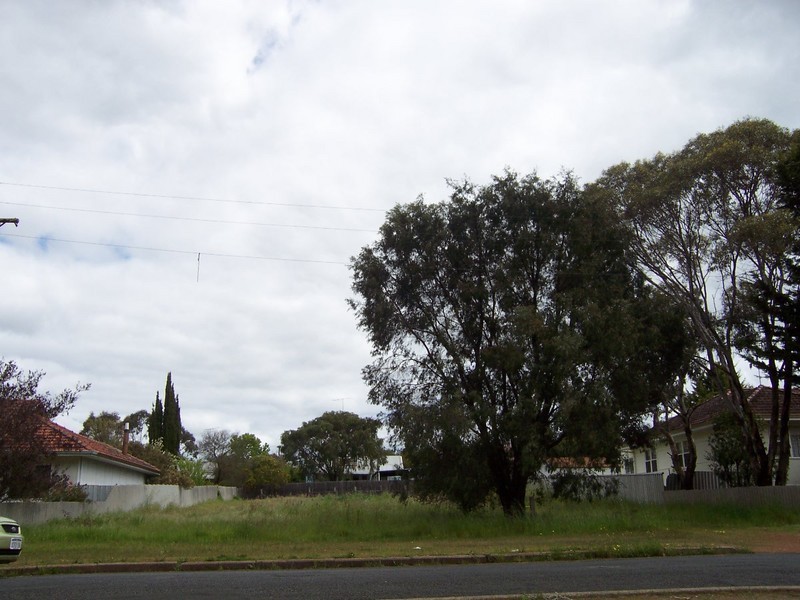 7 Edwards Street, Manjimup WA 6258