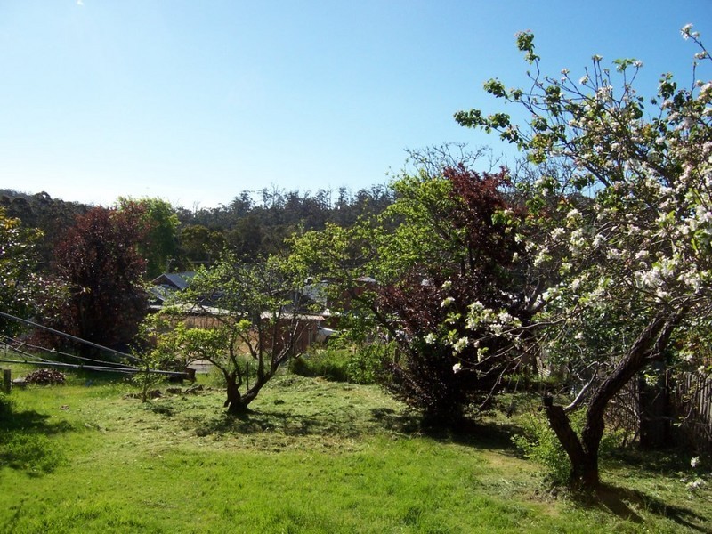 7 Guppy Street, Pemberton WA 6260