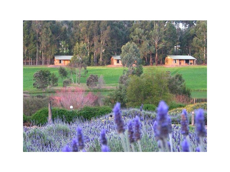 Lot 65 Browns Rd, Pemberton WA 6260