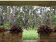 L102 Plackett Drive, Pemberton WA 6260