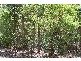 Lot 70 RAINBOW TROUT RETREAT, Quinninup WA 6258