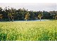 Lot 18 Sundew Close, Manjimup WA 6258