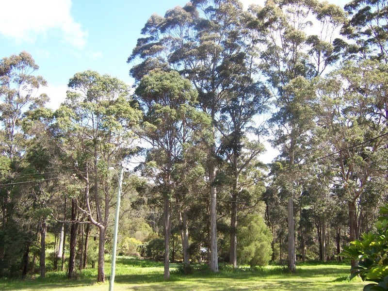 23 KELLY STREET, Pemberton WA 6260