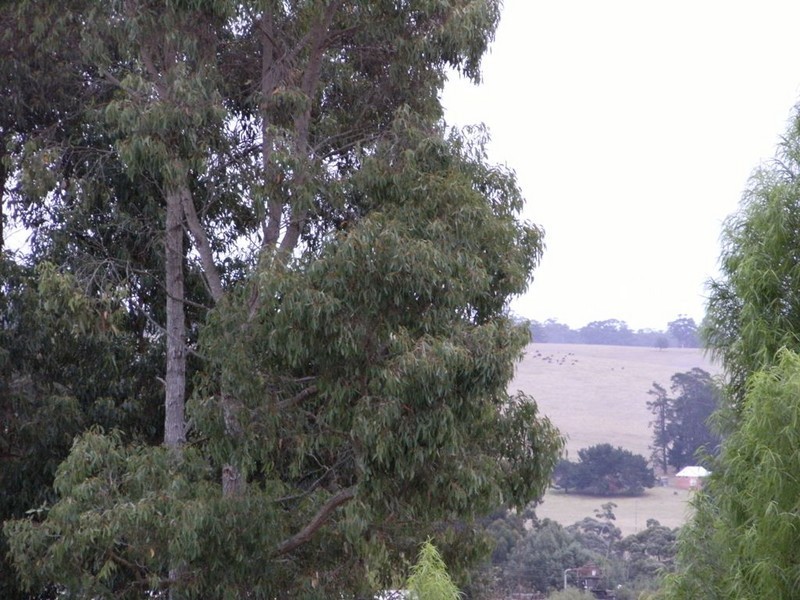 11 KELLY STREET, Pemberton WA 6260