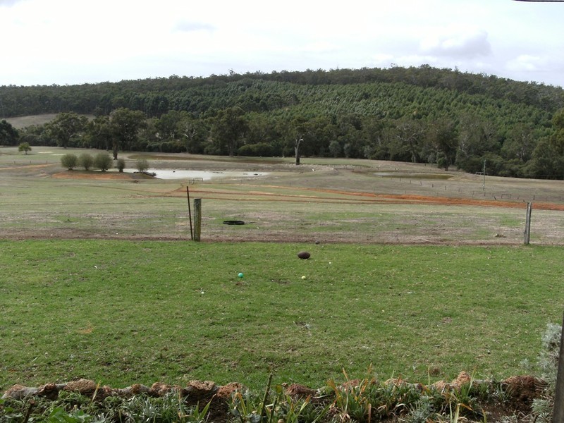 NL 3699 Junction Road, Manjimup WA 6258