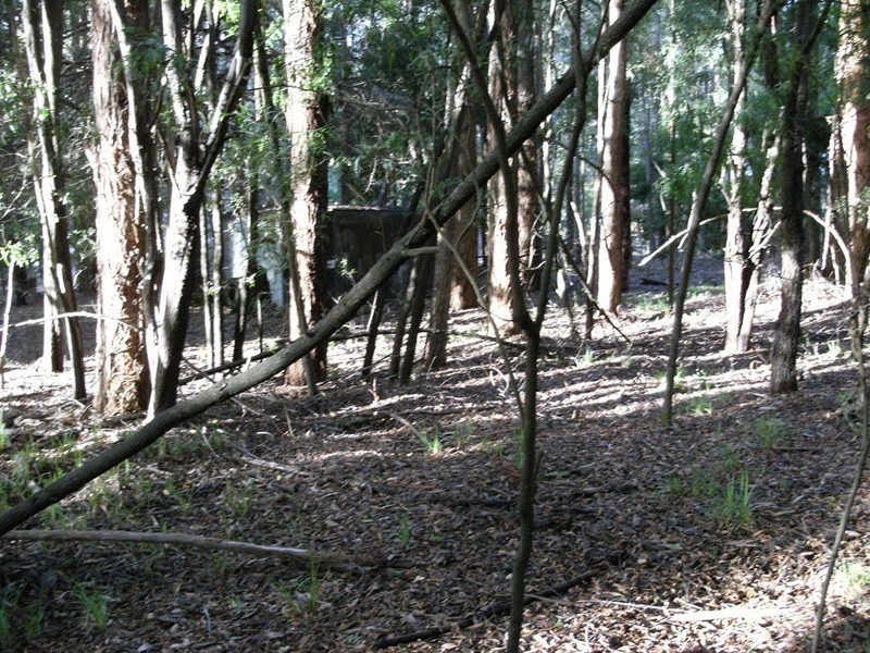 Lot 133 Karri Lane, Quinninup WA 6258