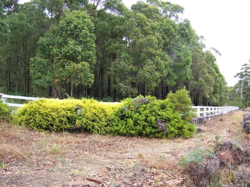 15 Seven Day Road, Manjimup WA 6258