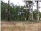 15 Seven Day Road, Manjimup WA 6258