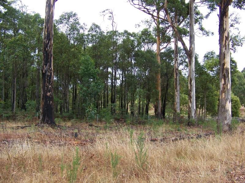 15 Seven Day Road, Manjimup WA 6258