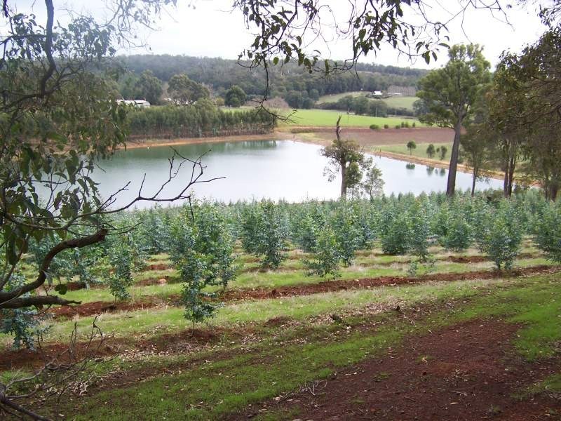 NL1955 Balbarrup Road, Manjimup WA 6258