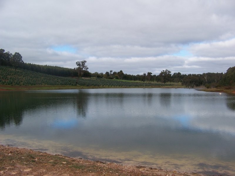 NL1955 Balbarrup Road, Manjimup WA 6258