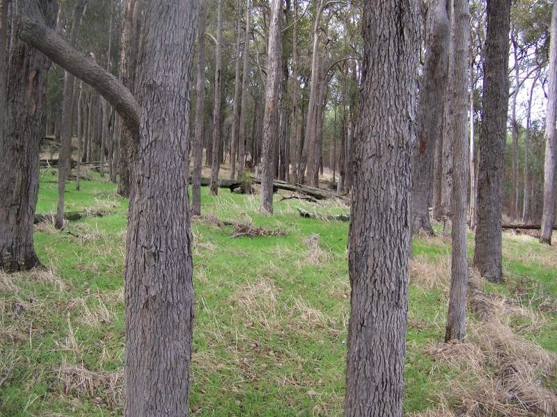 NL1955 Balbarrup Road, Manjimup WA 6258