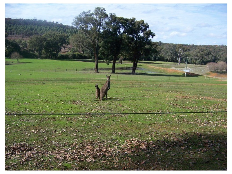 NL 3699 Junction Road, Manjimup WA 6258