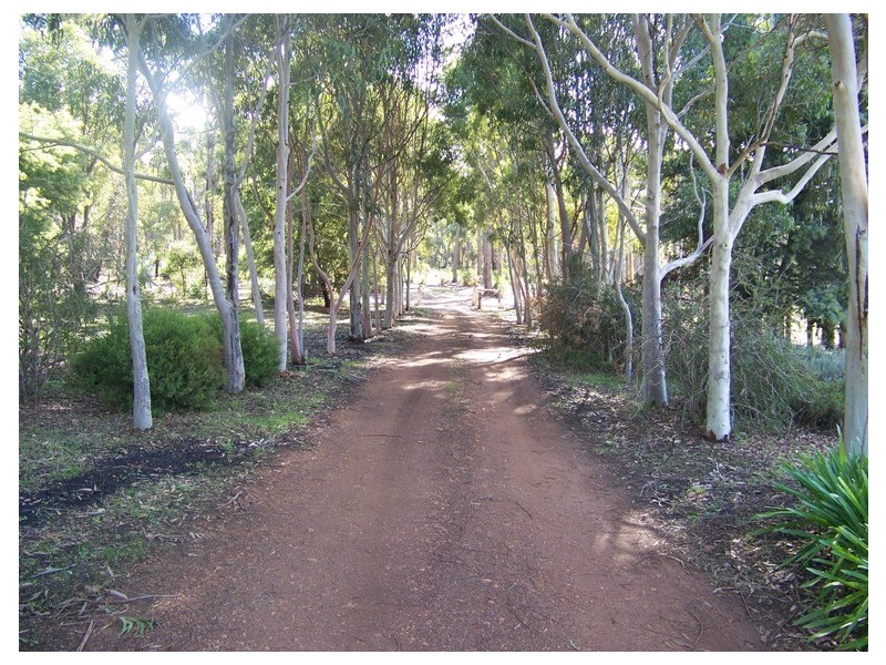 NL 3699 Junction Road, Manjimup WA 6258