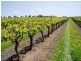 LOT 1 Graphite Road, Manjimup WA 6258