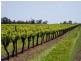LOT 1 Graphite Road, Manjimup WA 6258