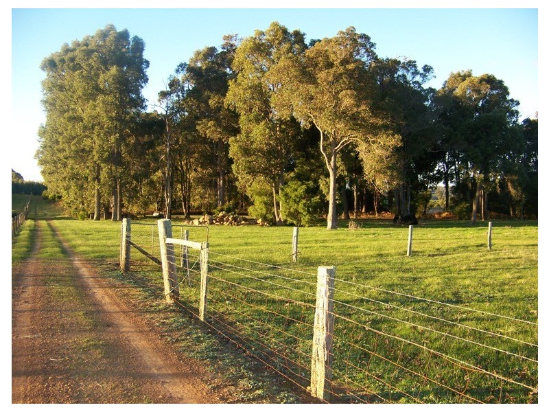 LOT 1 Graphite Road, Manjimup WA 6258