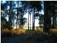 LOT 1 Graphite Road, Manjimup WA 6258