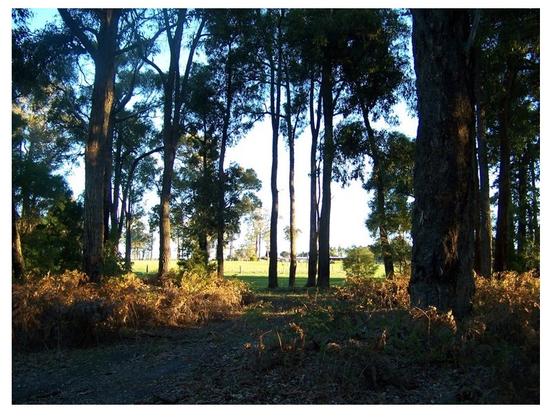 LOT 1 Graphite Road, Manjimup WA 6258
