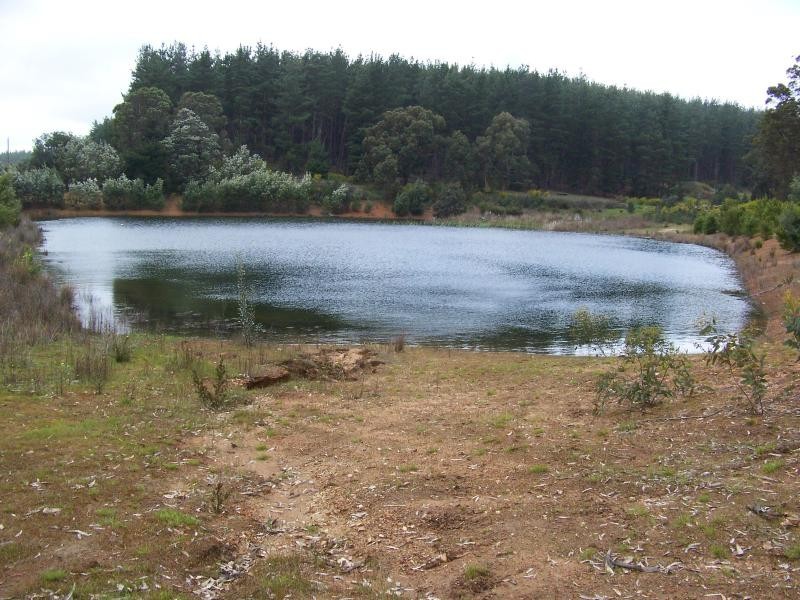 Lot 101 Cutting Road, Manjimup WA 6258