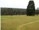 Lot 101 Cutting Road, Manjimup WA 6258