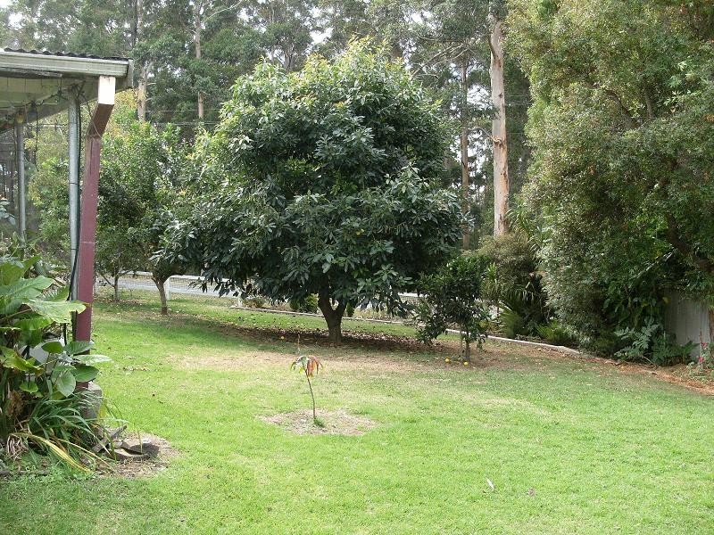 16 FORESTRY  GLEN, Pemberton WA 6260