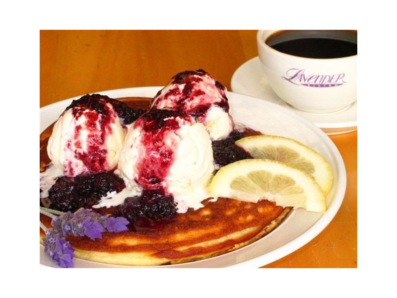 Lot 65 Browns Rd, Pemberton WA 6260