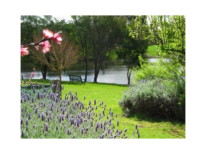 Lot 65 Browns Rd, Pemberton WA 6260