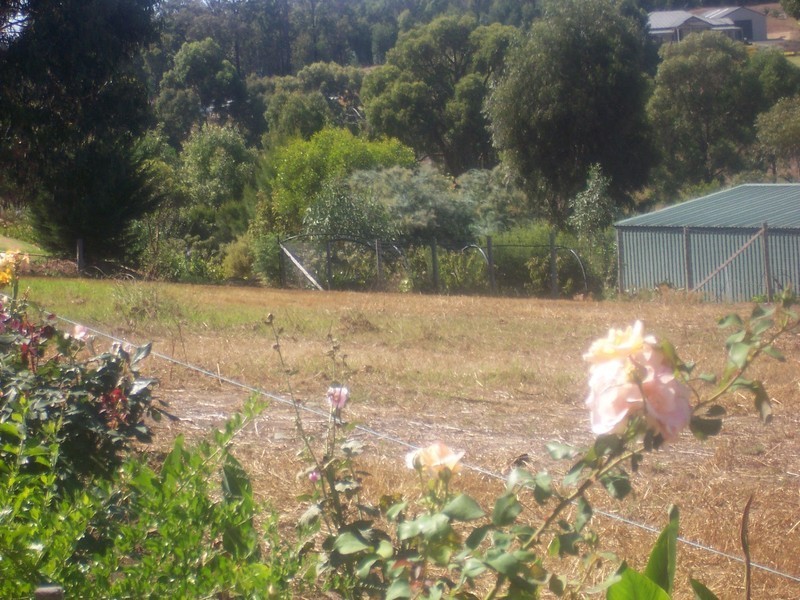 385 Simms Court, Manjimup WA 6258