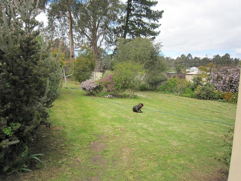 26 Somerville Street, Manjimup WA 6258