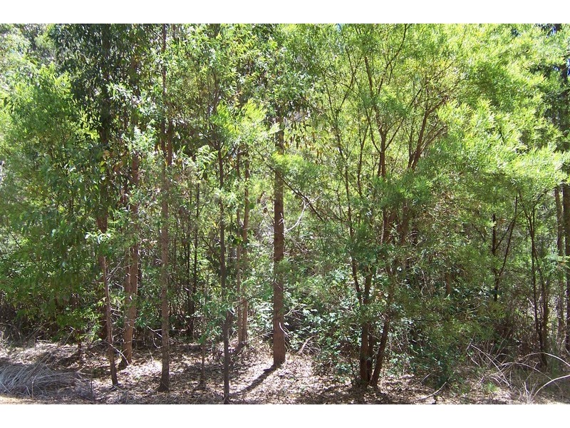 Lot 70 RAINBOW TROUT RETREAT, Quinninup WA 6258