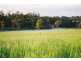 Lot 18 Sundew Close, Manjimup WA 6258