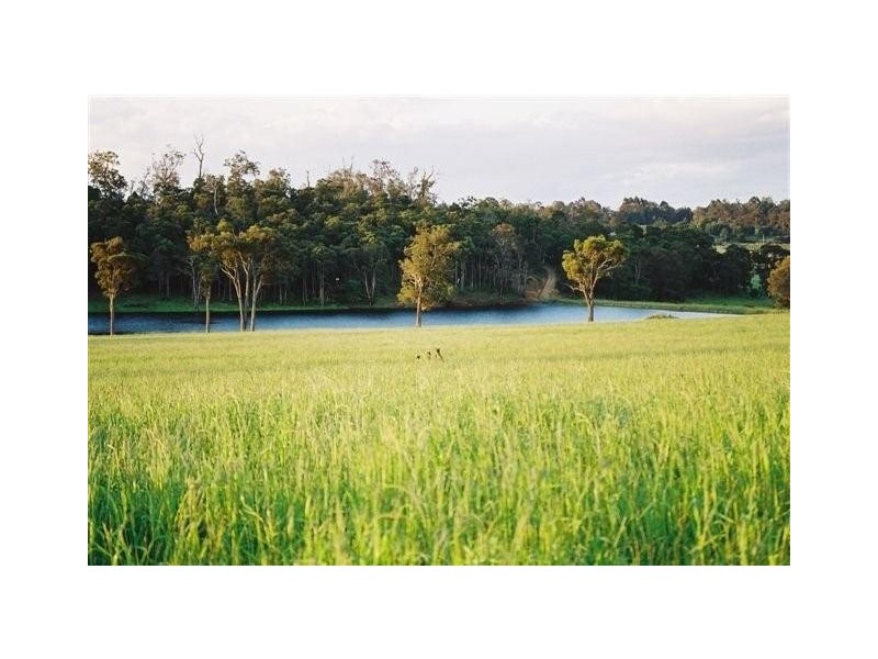 Lot 18 Sundew Close, Manjimup WA 6258